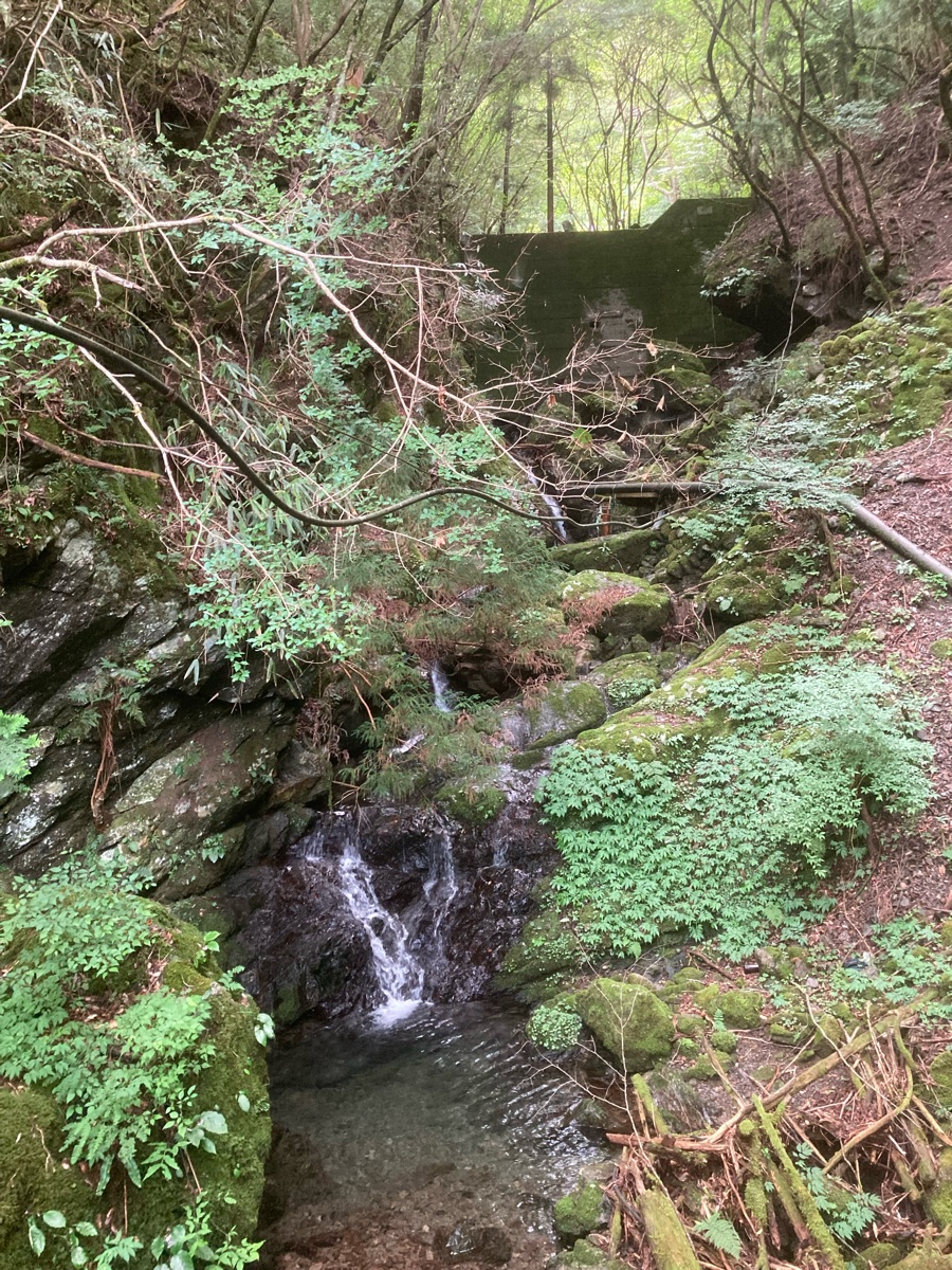 道中で見かけた苔の岩と小さな滝