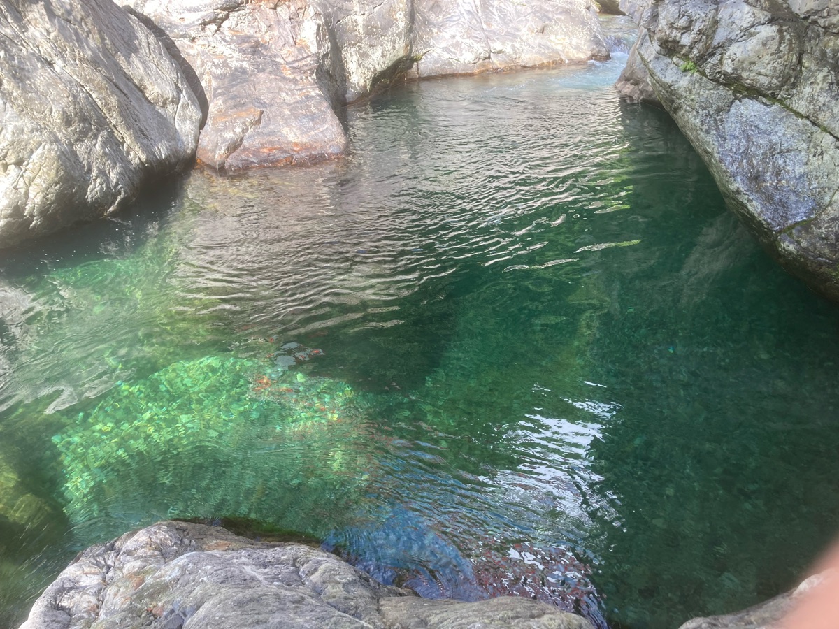 深い緑色の淵